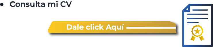 Consulta mi CV